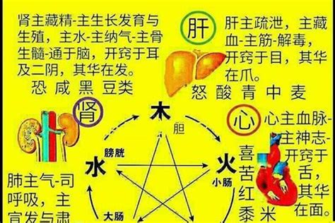 属火的名字|五行属火最吉利的男孩名字280个